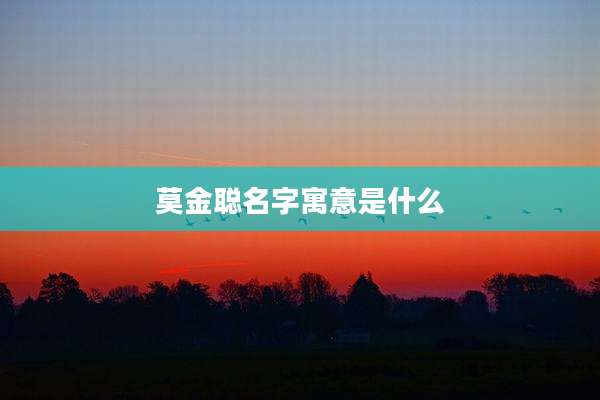 莫金聪名字寓意是什么