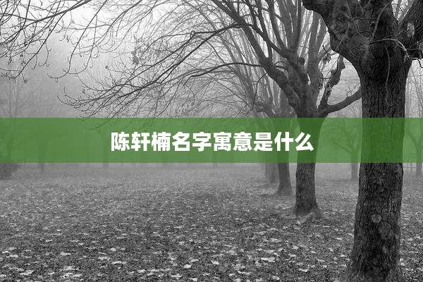 陈轩楠名字寓意是什么