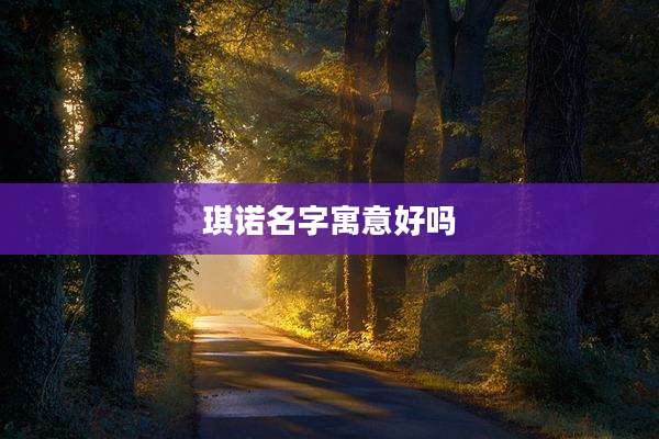 琪诺名字寓意好吗