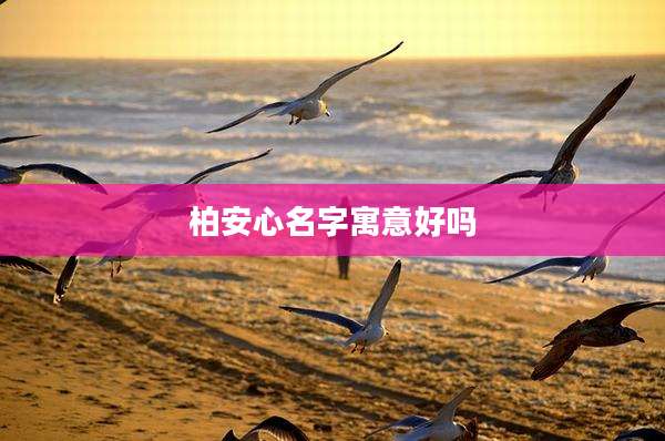 柏安心名字寓意好吗