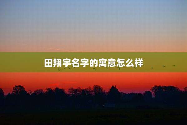 田翔宇名字的寓意怎么样