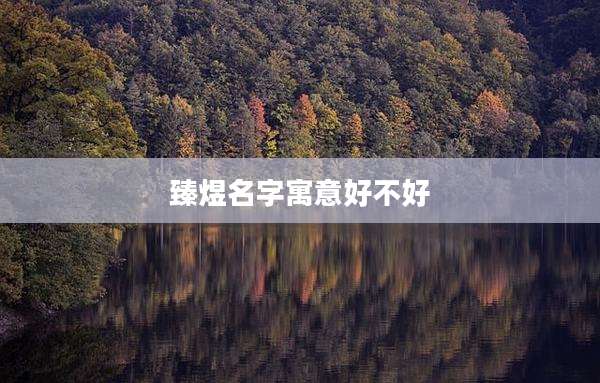 臻煜名字寓意好不好