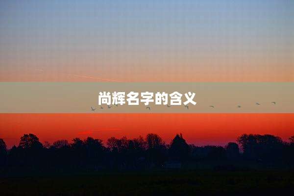 尚辉名字的含义