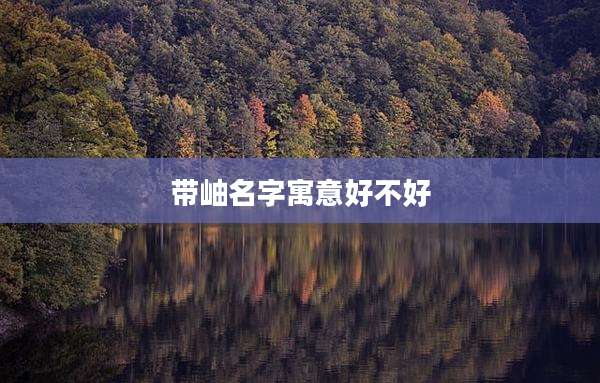 带岫名字寓意好不好
