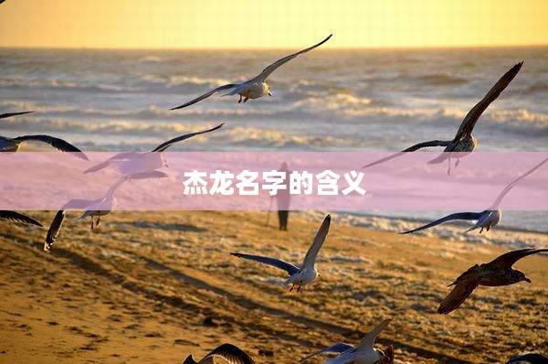 杰龙名字的含义