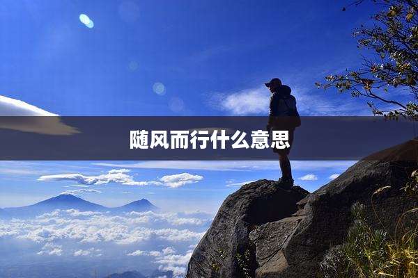 随风而行什么意思