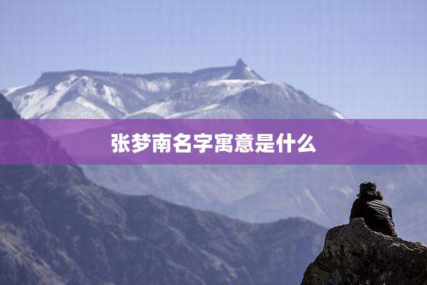 张梦南名字寓意是什么