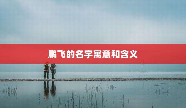 鹏飞的名字寓意和含义