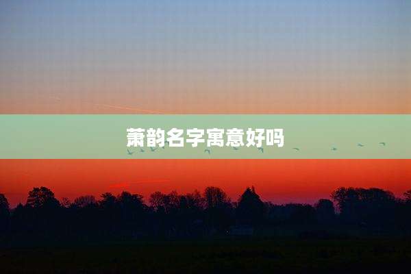 萧韵名字寓意好吗