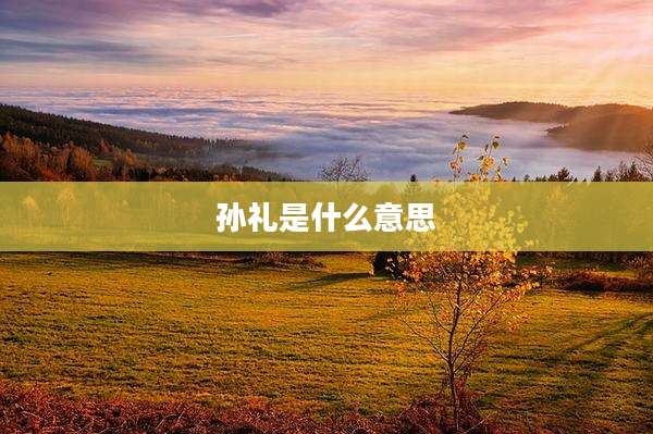 孙礼是什么意思