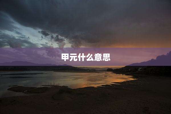 甲元什么意思
