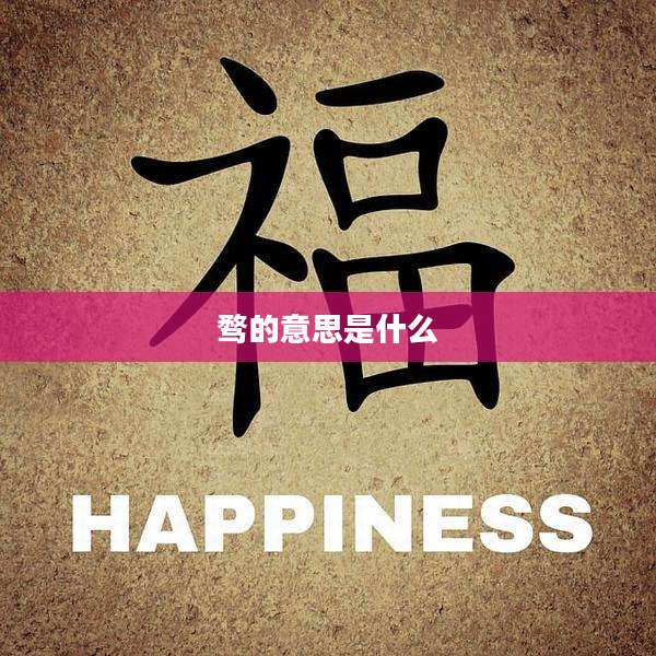 骛的意思是什么