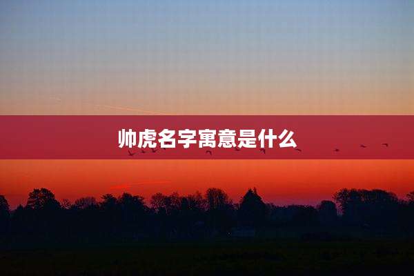 帅虎名字寓意是什么