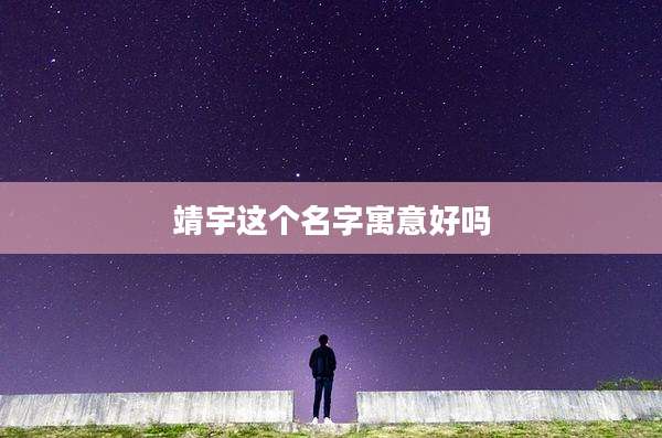 靖宇这个名字寓意好吗