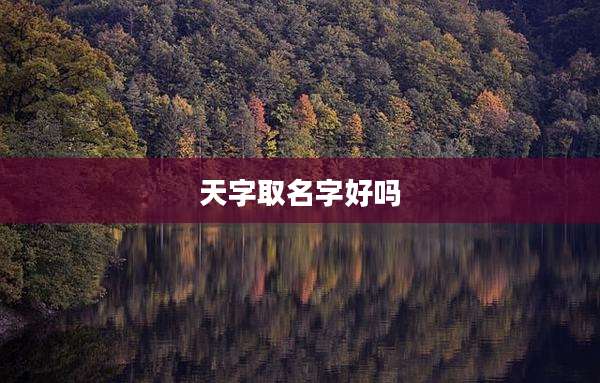 天字取名字好吗