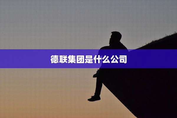 德联集团是什么公司