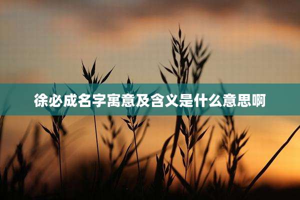 徐必成名字寓意及含义是什么意思啊