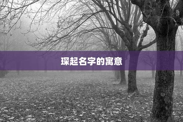 琛起名字的寓意