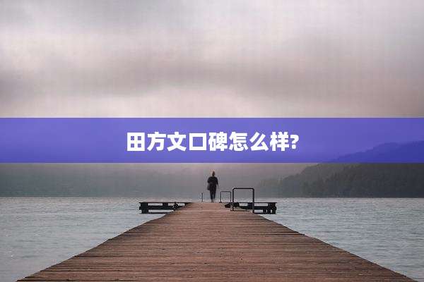 田方文口碑怎么样?