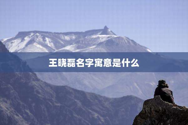 王晓磊名字寓意是什么