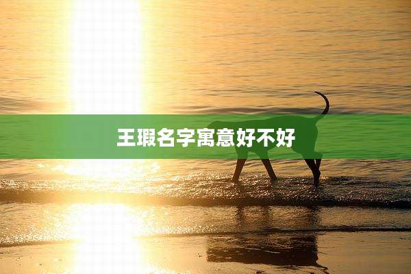 王瑕名字寓意好不好
