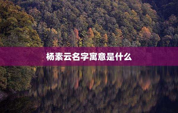 杨素云名字寓意是什么