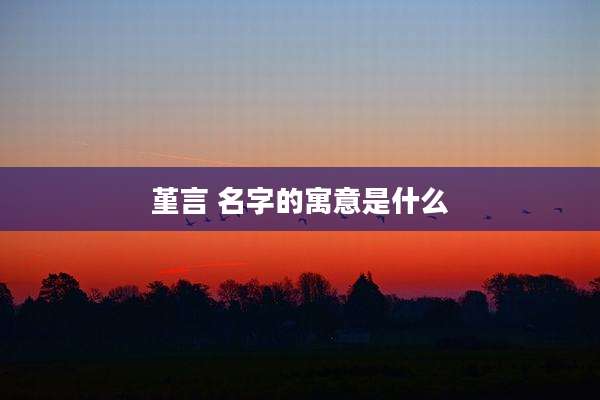 堇言 名字的寓意是什么