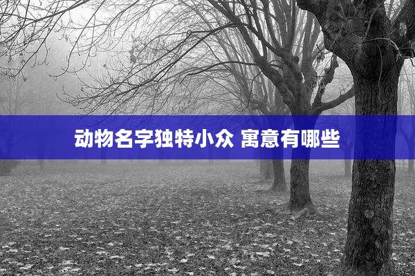 动物名字独特小众 寓意有哪些