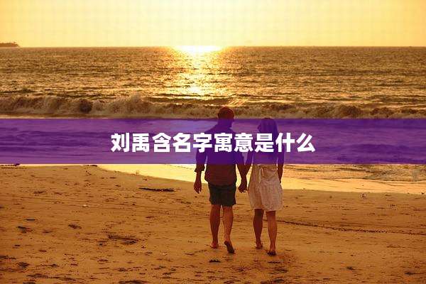 刘禹含名字寓意是什么