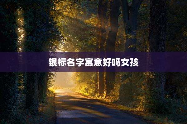 银标名字寓意好吗女孩