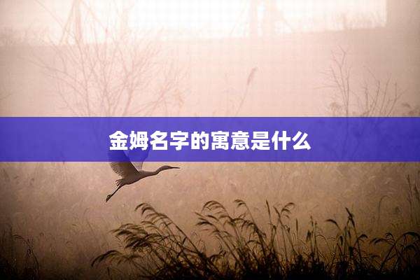 金姆名字的寓意是什么