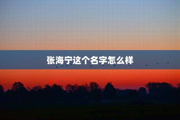 张海宁这个名字怎么样