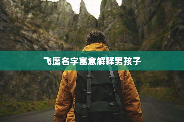 飞鹰名字寓意解释男孩子