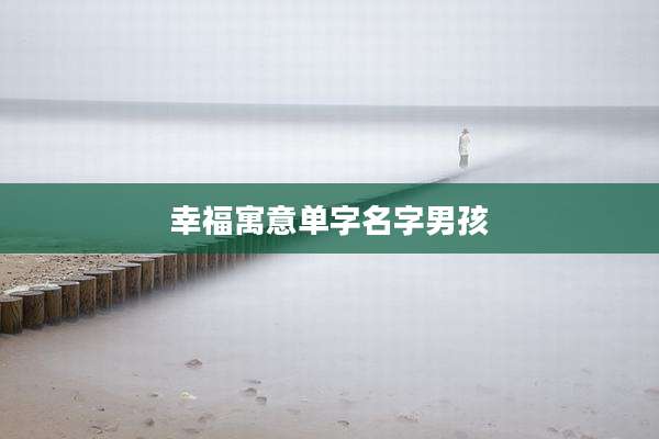 幸福寓意单字名字男孩