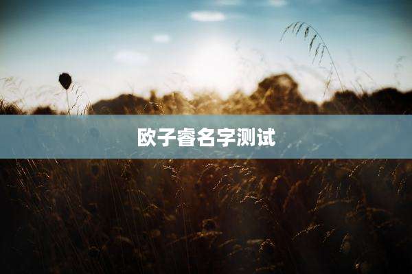欧子睿名字测试