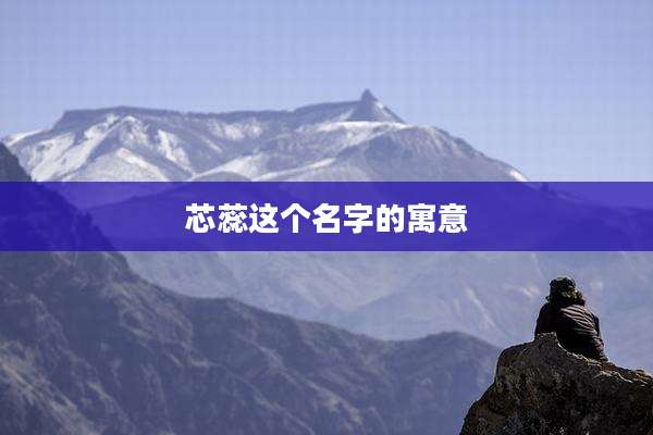 芯蕊这个名字的寓意