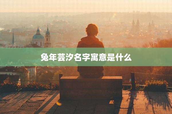 兔年芸汐名字寓意是什么