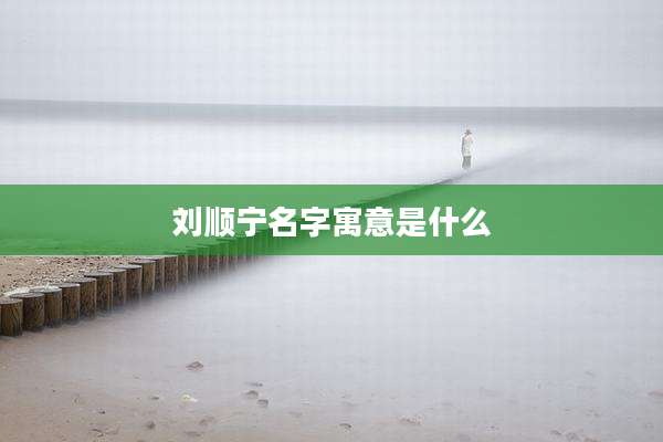 刘顺宁名字寓意是什么