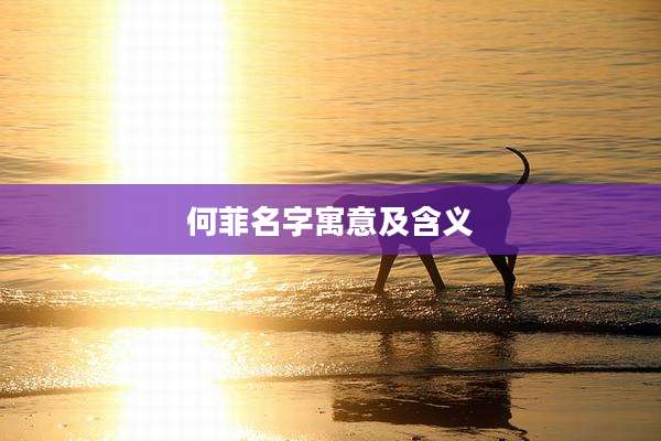 何菲名字寓意及含义
