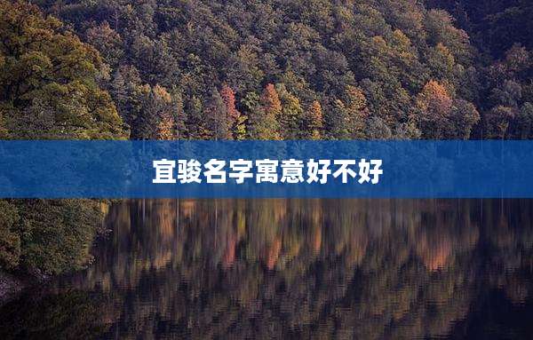 宜骏名字寓意好不好