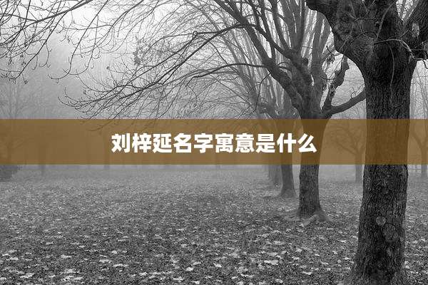 刘梓延名字寓意是什么
