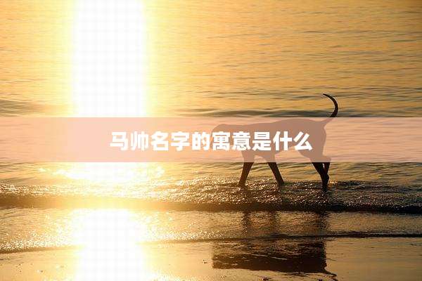 马帅名字的寓意是什么