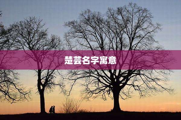 楚芸名字寓意