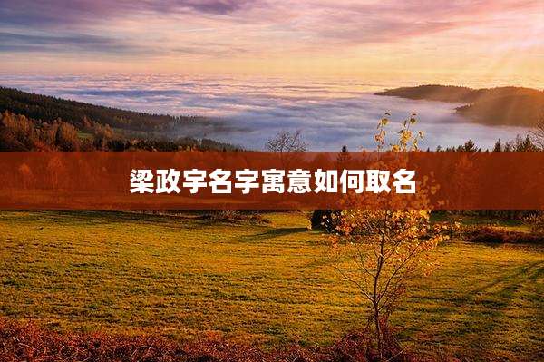 梁政宇名字寓意如何取名