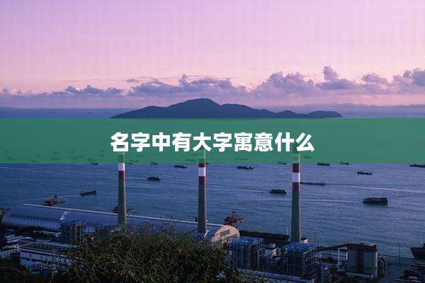 名字中有大字寓意什么