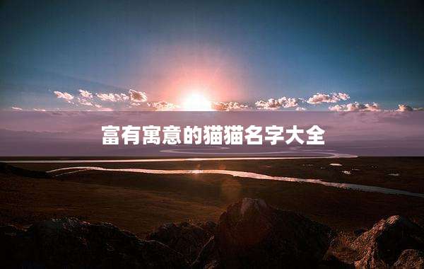 富有寓意的猫猫名字大全