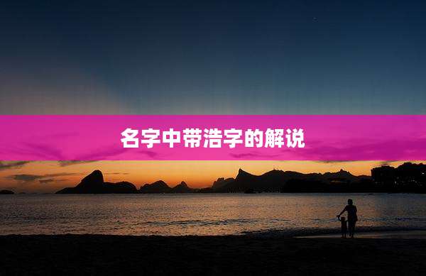 名字中带浩字的解说