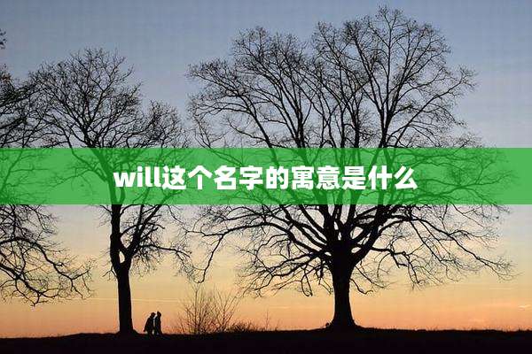 will这个名字的寓意是什么