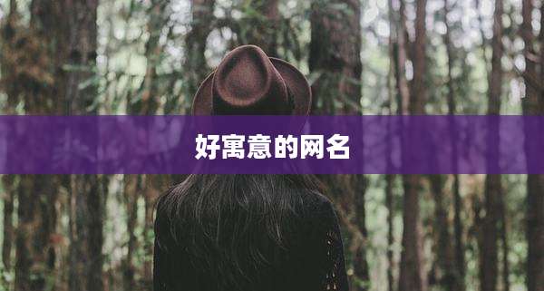 好寓意的网名