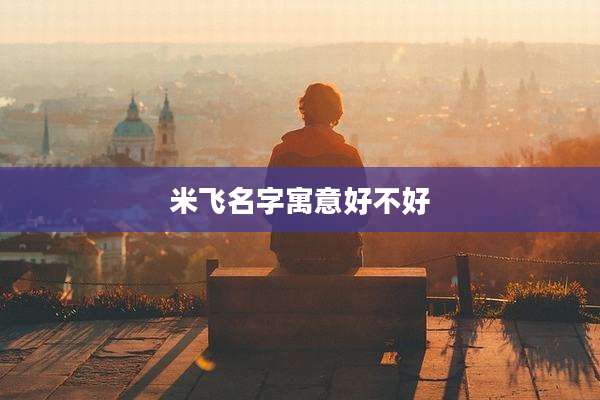 米飞名字寓意好不好